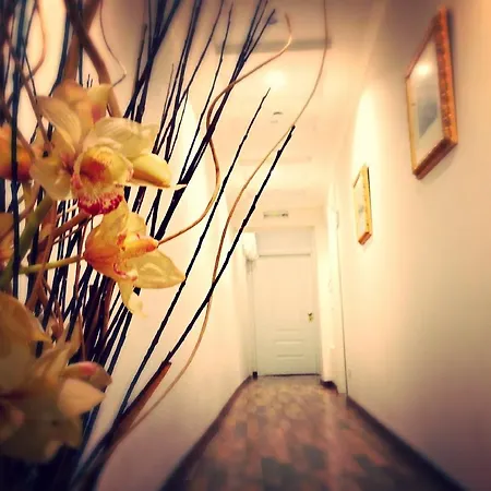 Bed & Breakfast Residenza Domiziano Rome